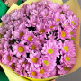 9 розовых кустовых хризантем фото 4