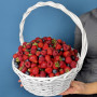 Мега корзина клубника голубика и малина фото 2